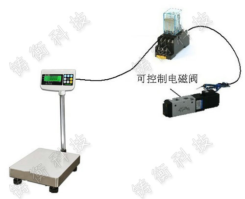 �o������_��